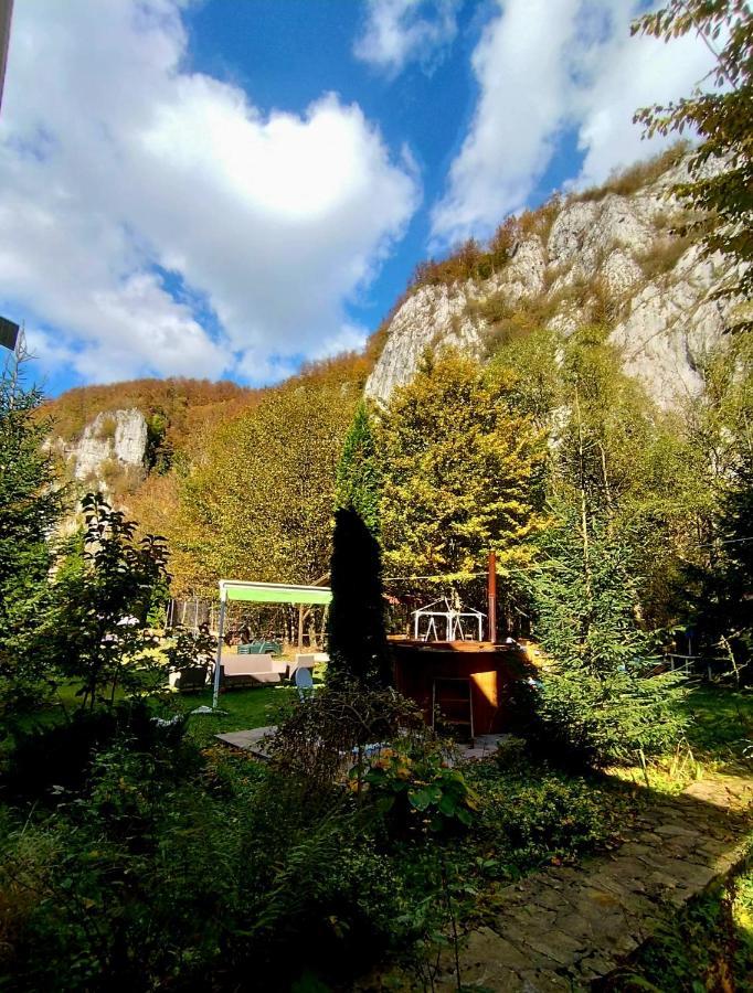 Hotel Casa Artemi Remeţi Exterior foto