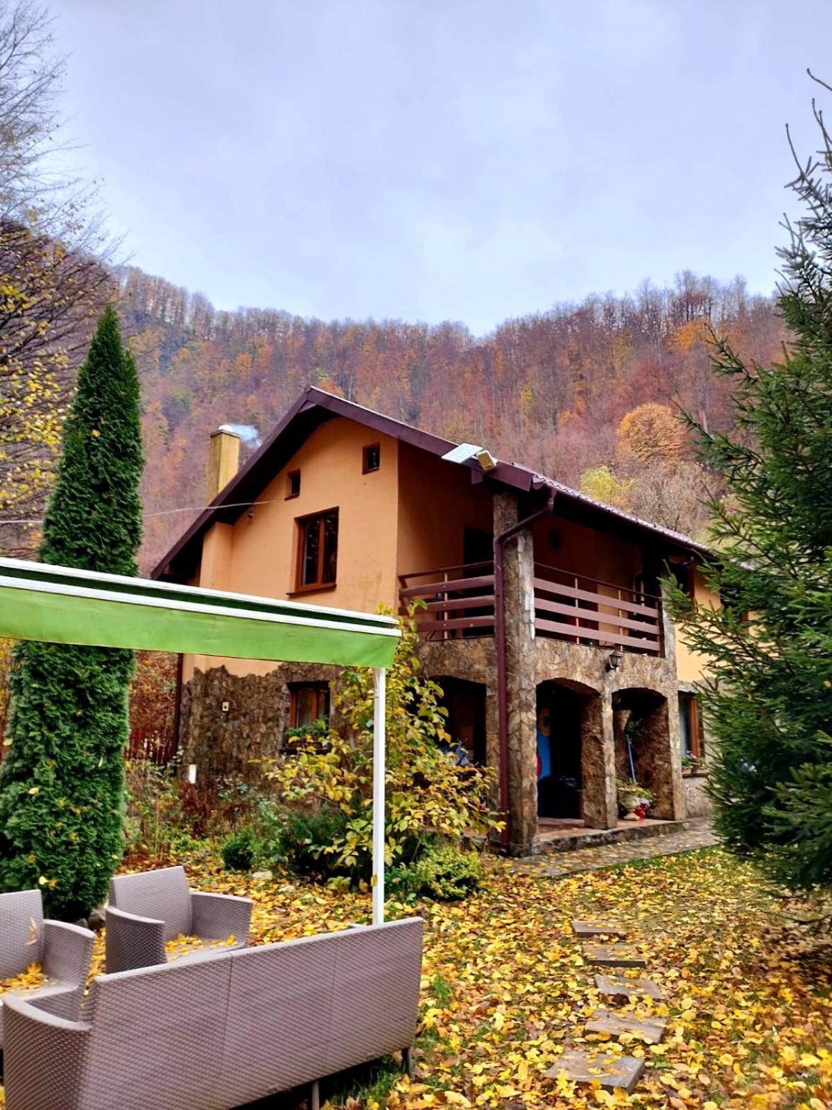 Hotel Casa Artemi Remeţi Exterior foto
